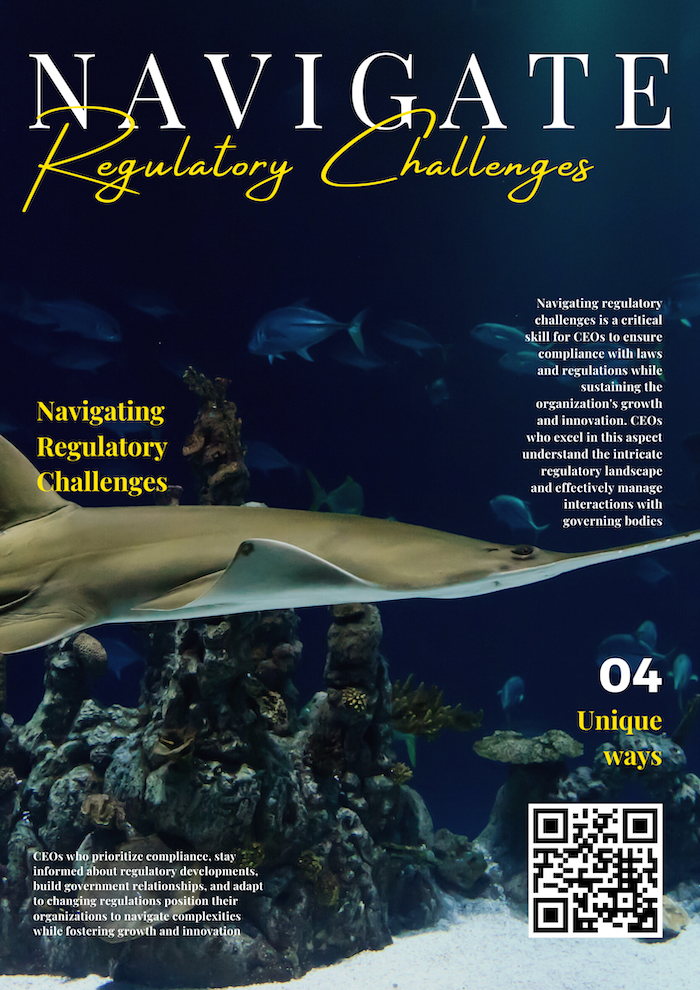 Navigating Regulatory Challenges - The CEO Skills