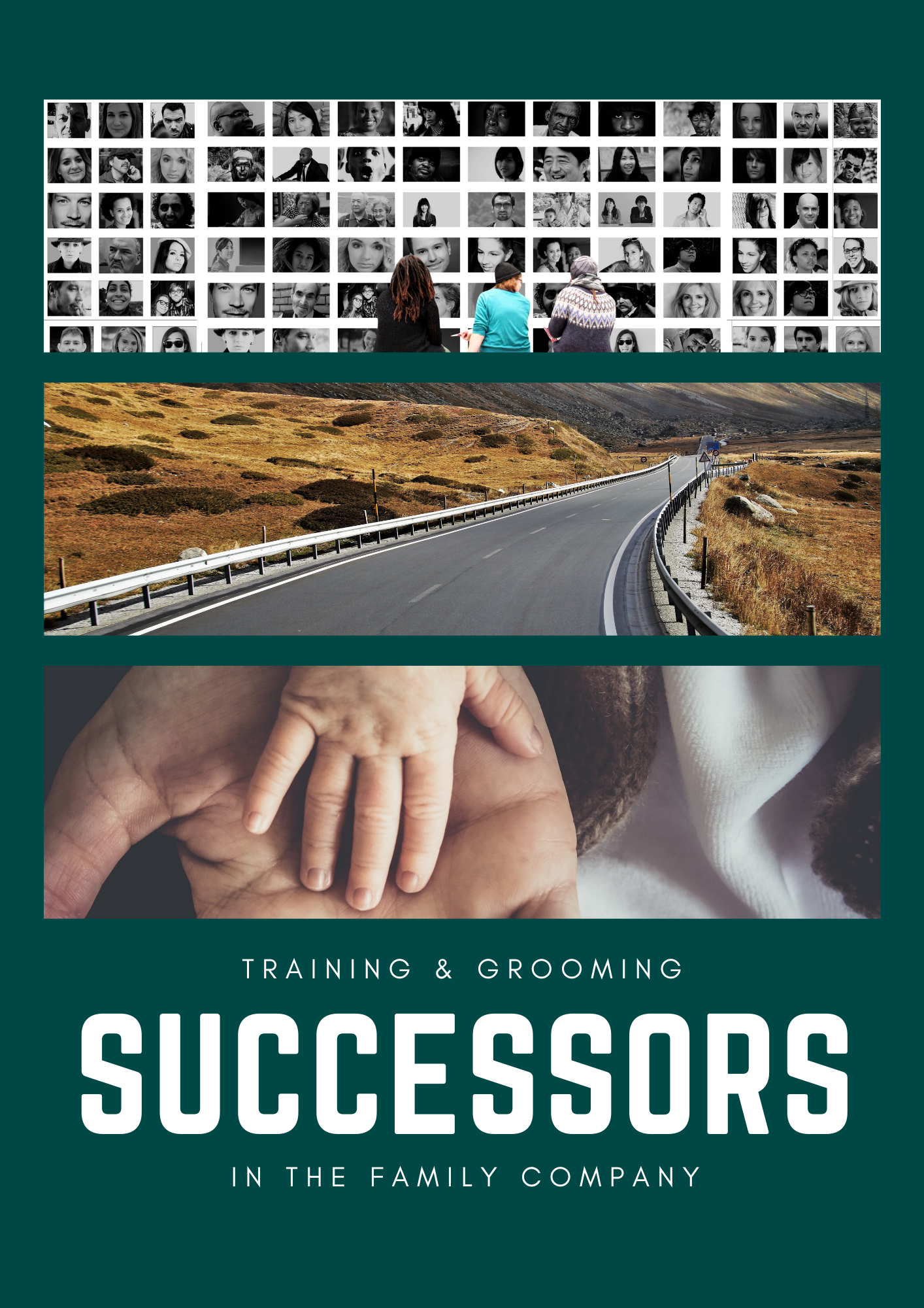 Training & Grooming Successors in Family Company