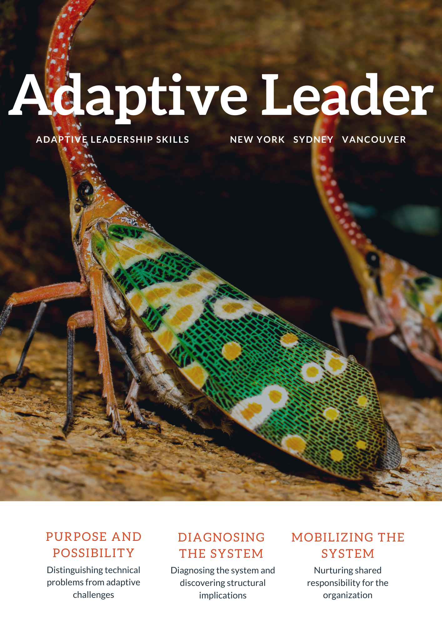 Adaptive Leadership Skills